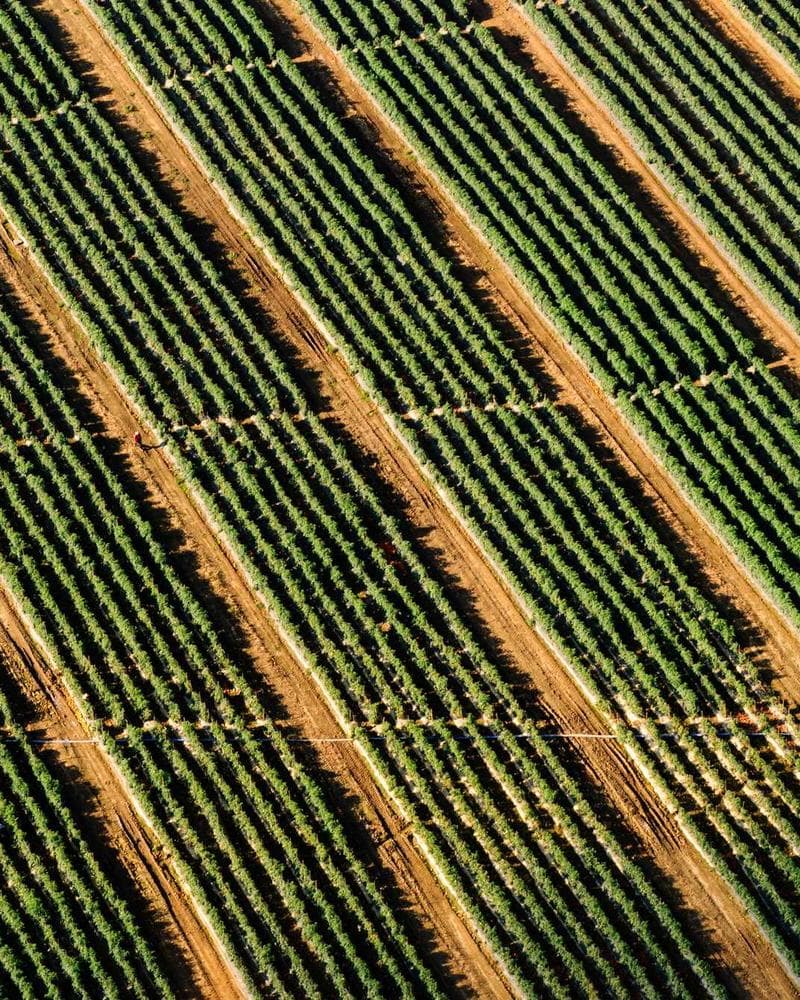 Anh Thư Spa — Trải nghiệm thư giãn đẳng cấp